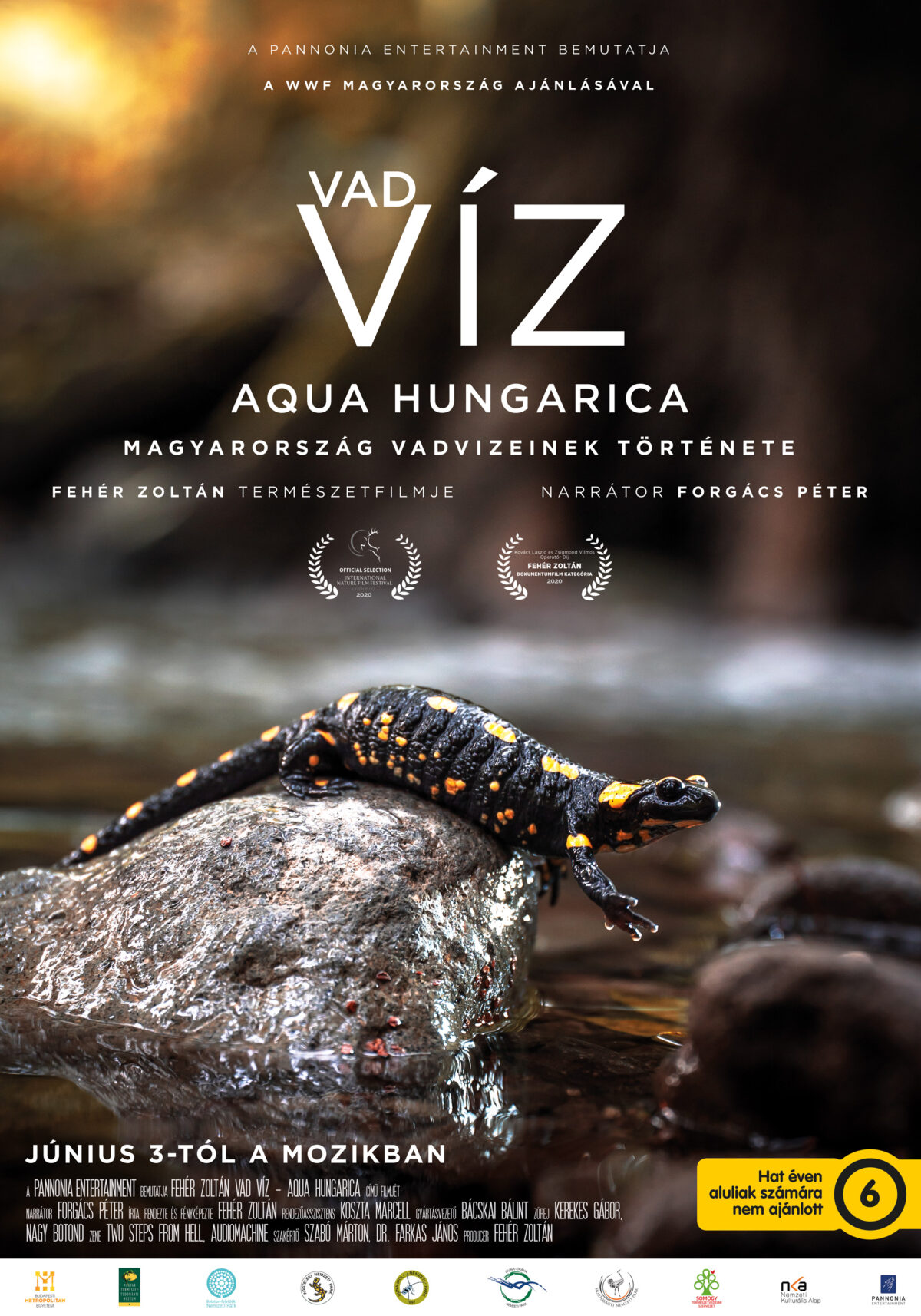 Vad víz – Aqua Hungarica (2021)