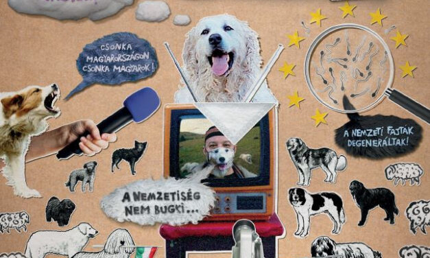 Ki kutyája vagyok én? (Whose Dog Am I?) 2022